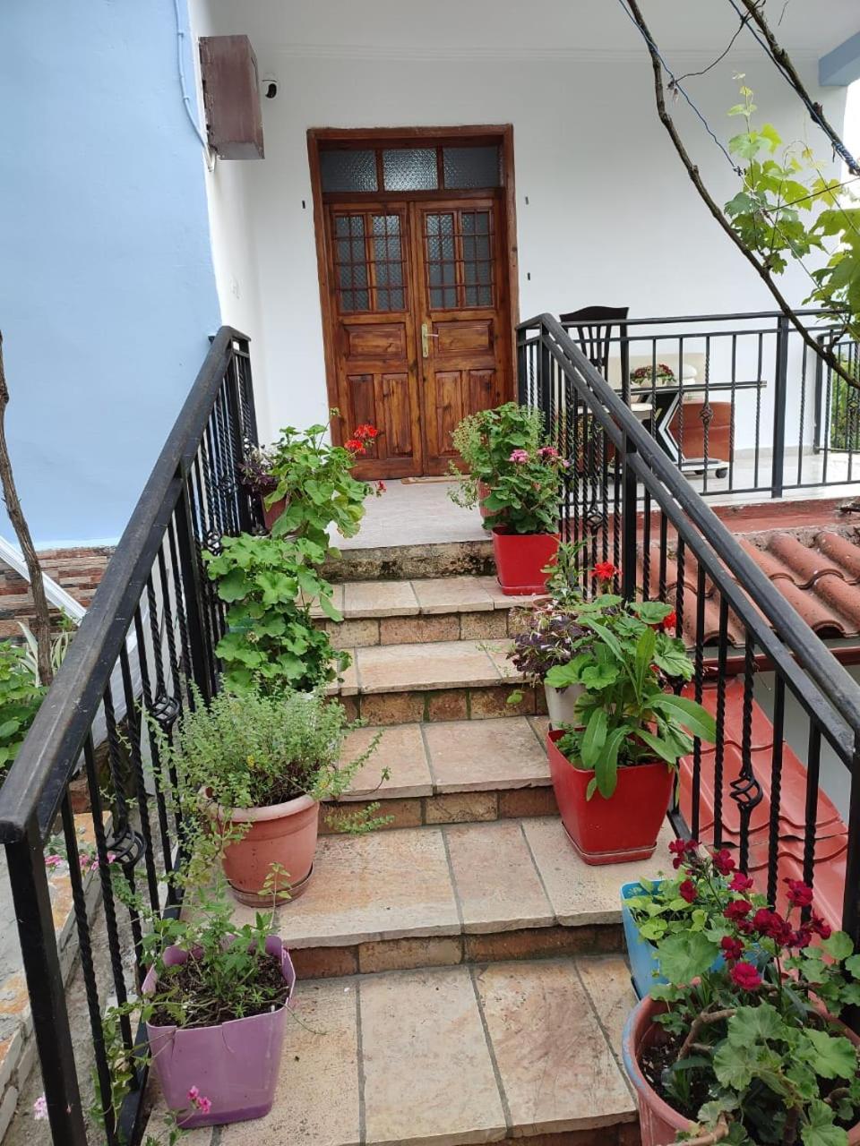 Guest House Eloid Berat Exteriér fotografie